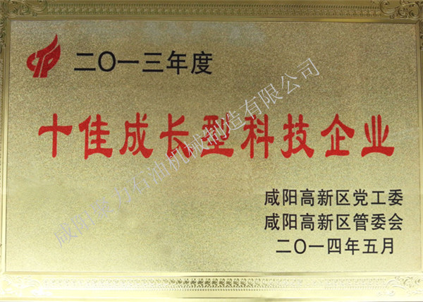 十佳成長型科技企業證書