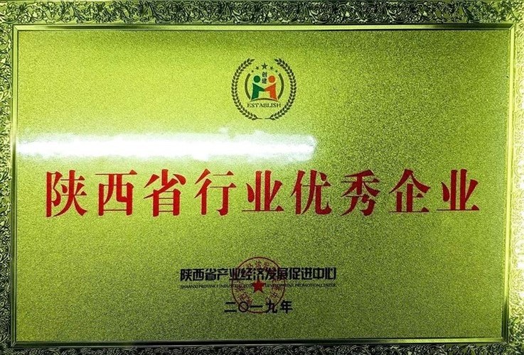 陜西省行業優秀企業